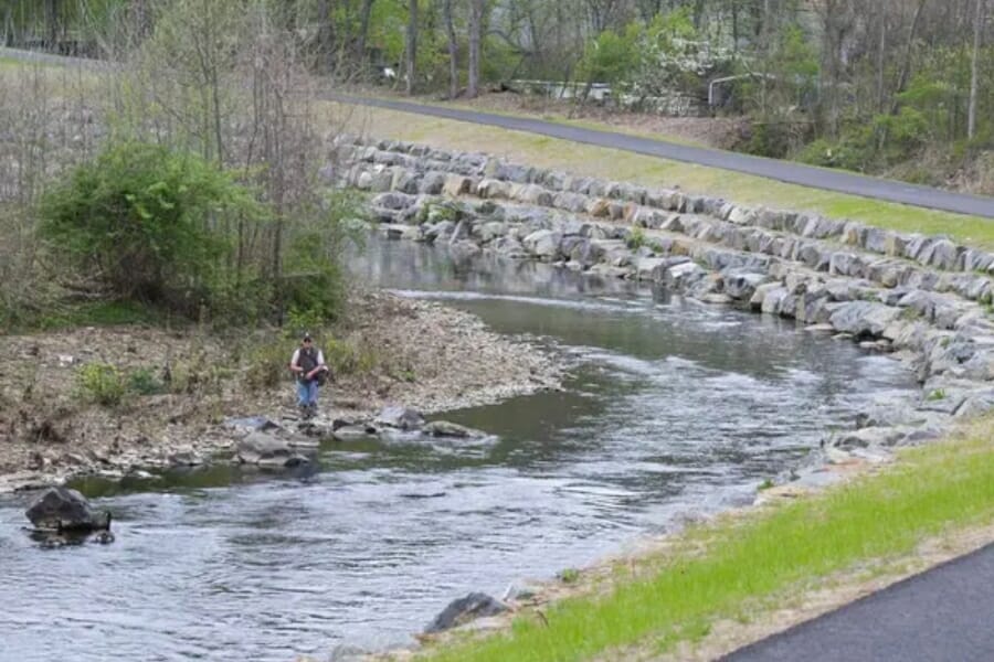 Winding waters of Chester Creek