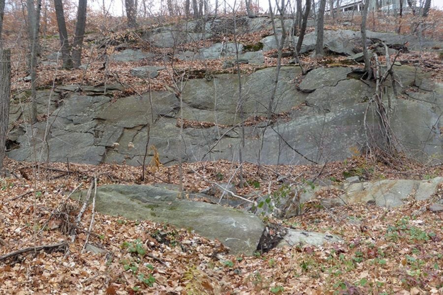 Big rocks and slim trees of Collins Hill where minerals and rocks can be located