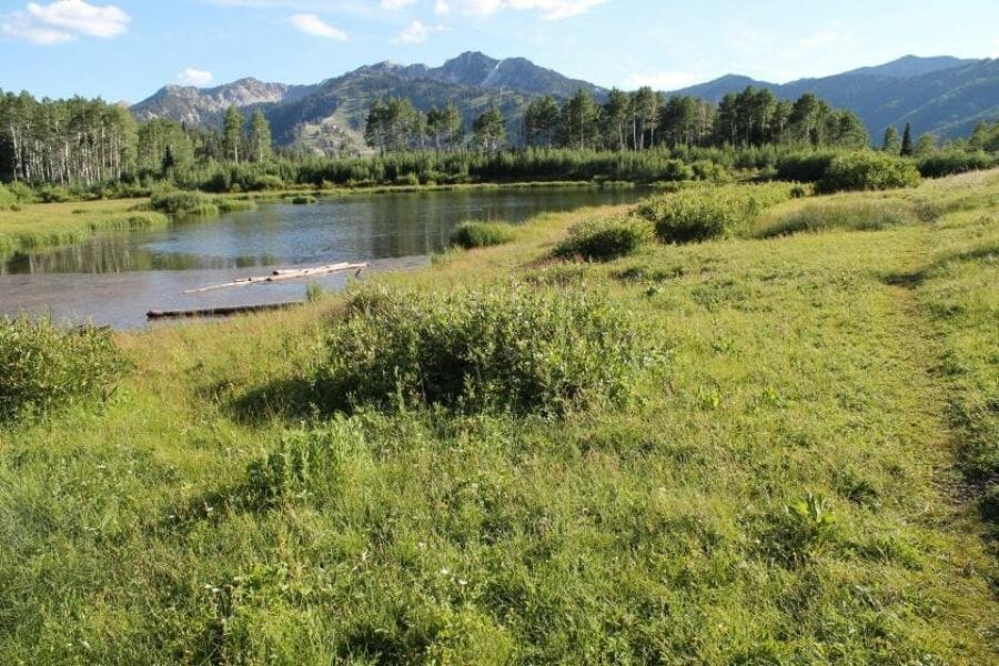 Cottonwood Canyon with green lands and a river where minerals and rocks are found