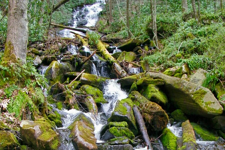 View of the water downstream at Cowee Creek