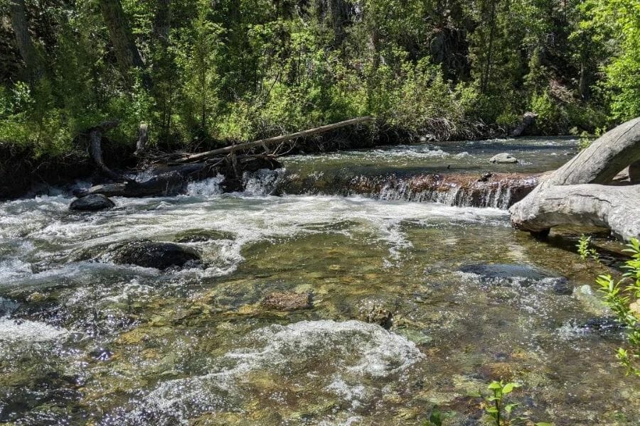 Flowing waters of the Crow Creek with lots of big rocks