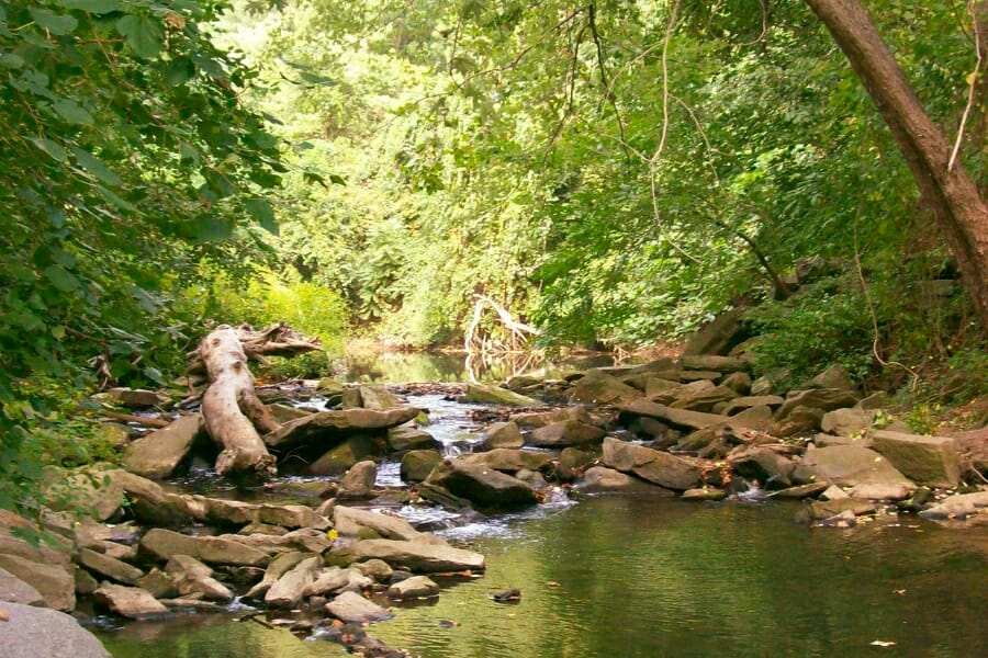 Stunning view of the shallow waters, rock formations, and surrounding trees at Crum Creek