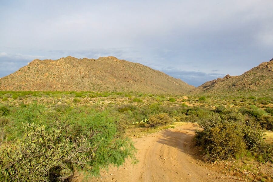 Wide-angle view of Date Creek Mountains