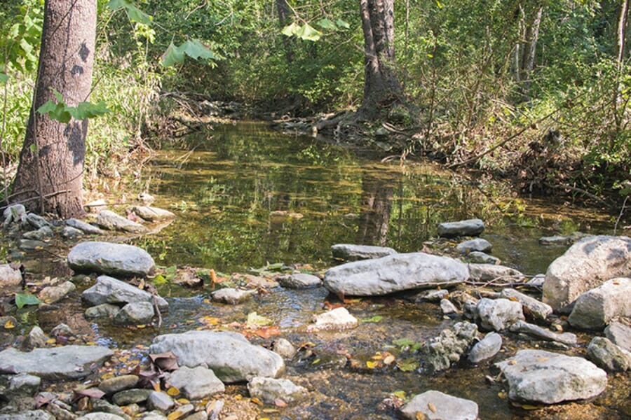 A close up look at the features of Dollyhyde Creek showing its rocks and nearby landscape