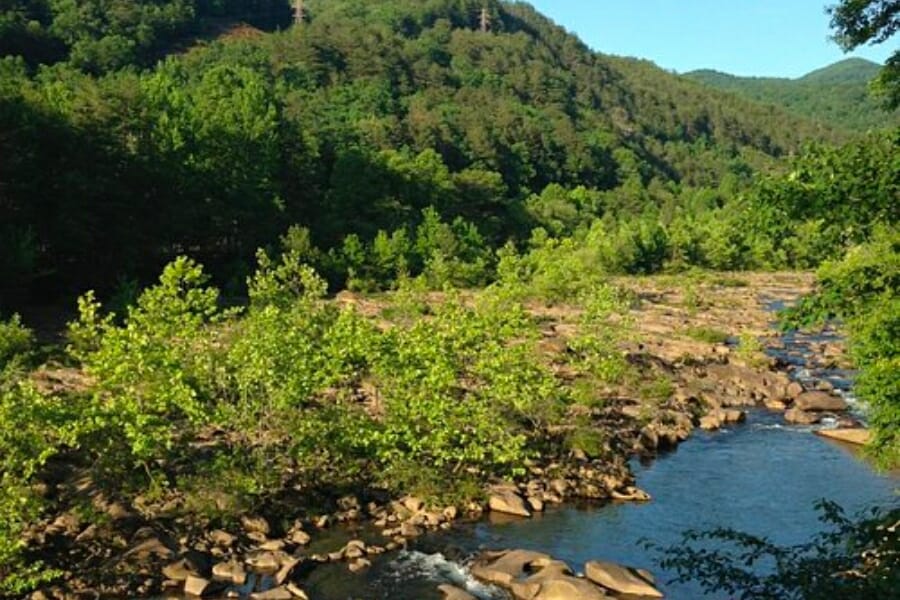 A look at one of the natural landscapes of Ducktown showing a forested mountain and shallow creek