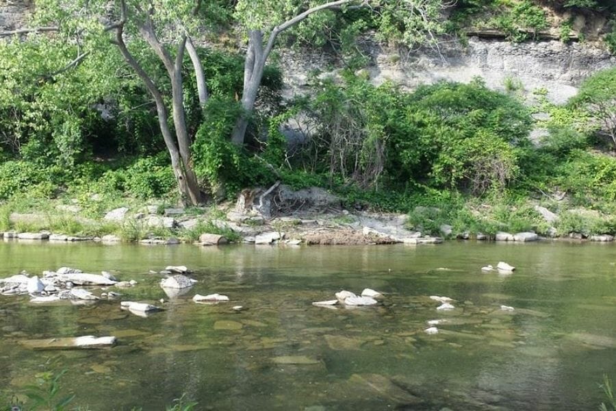 A location at the Eighteen Mile Creek where rock specimens are found
