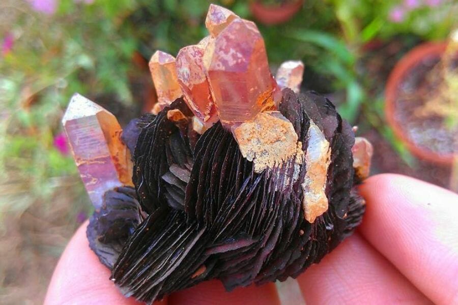 Recently unearthed purple gem from a local mine
