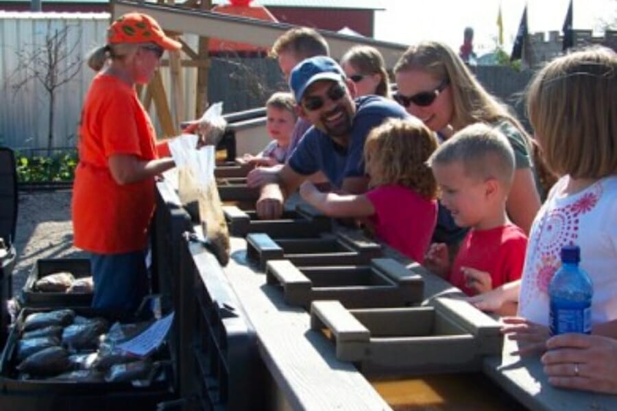 Kids and their parents happily sifting through dirt to find gems at the sluice of the Golden Gulch Gem Mine