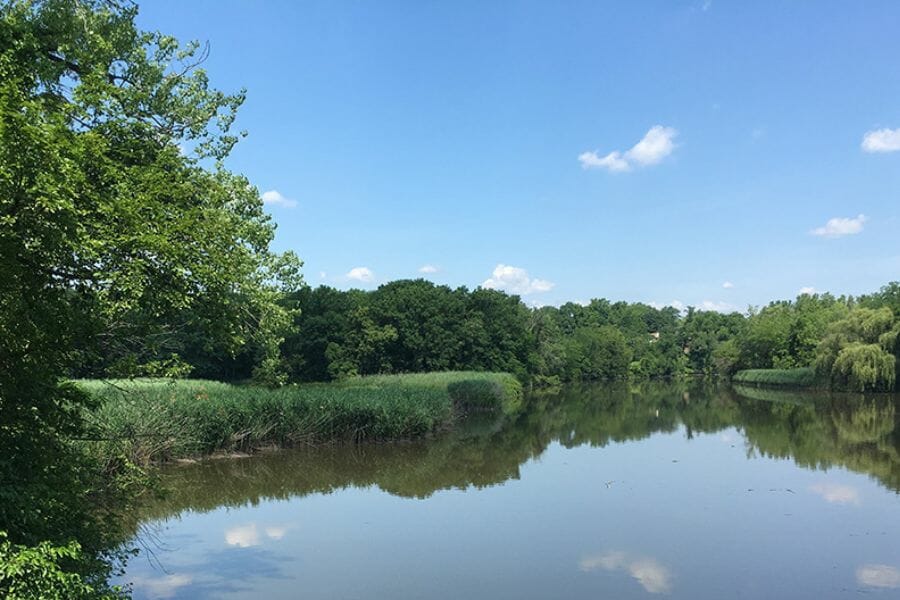A tranquil Hackensack River surrounded by trees