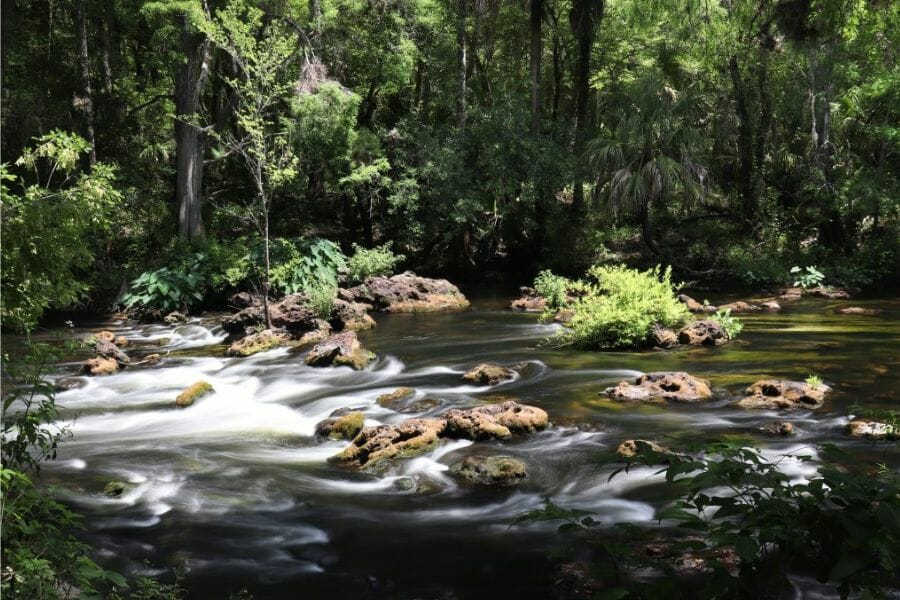 Rushing river at the Hillsborough River State Park where you can find different minerals and rocks