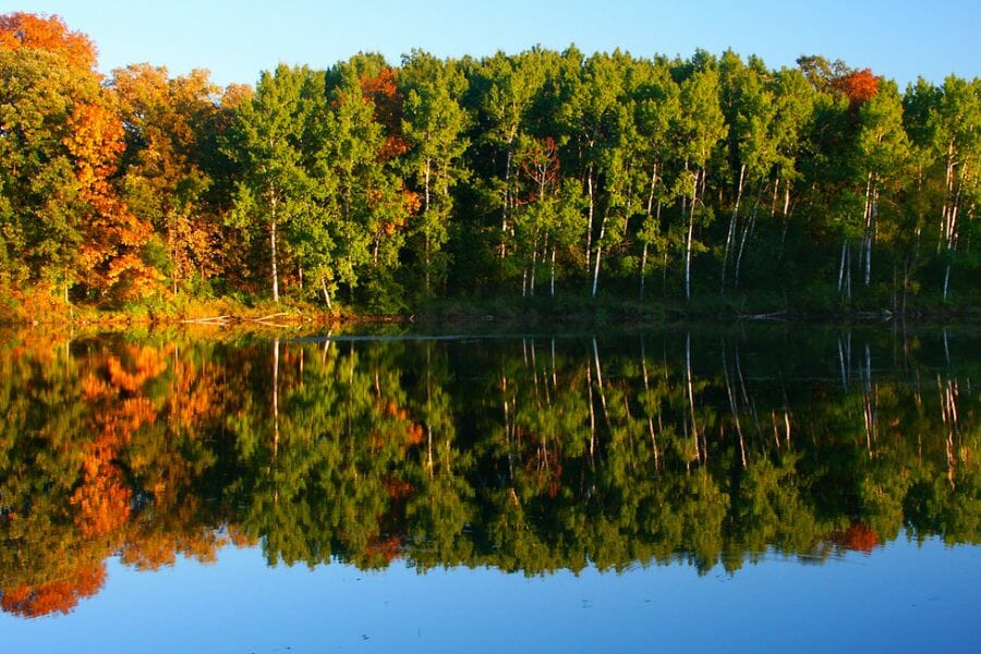 A beautiful and tranquil Kettle Moraine surrounded by lush green trees