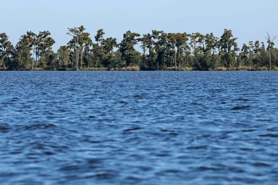 A nice island full of trees and blue waters at Lake Maurepas