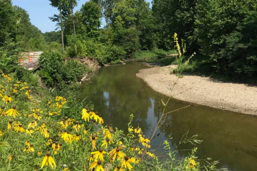 A quiet area at Lick Creek where various mineral specimens can be located