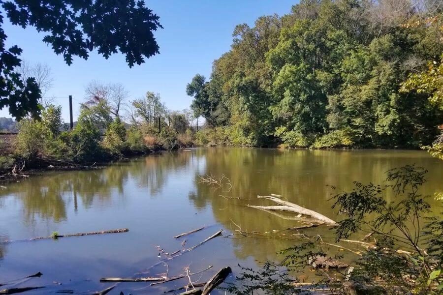 View of the Funks Pond Recreational Area and its surrounding trees