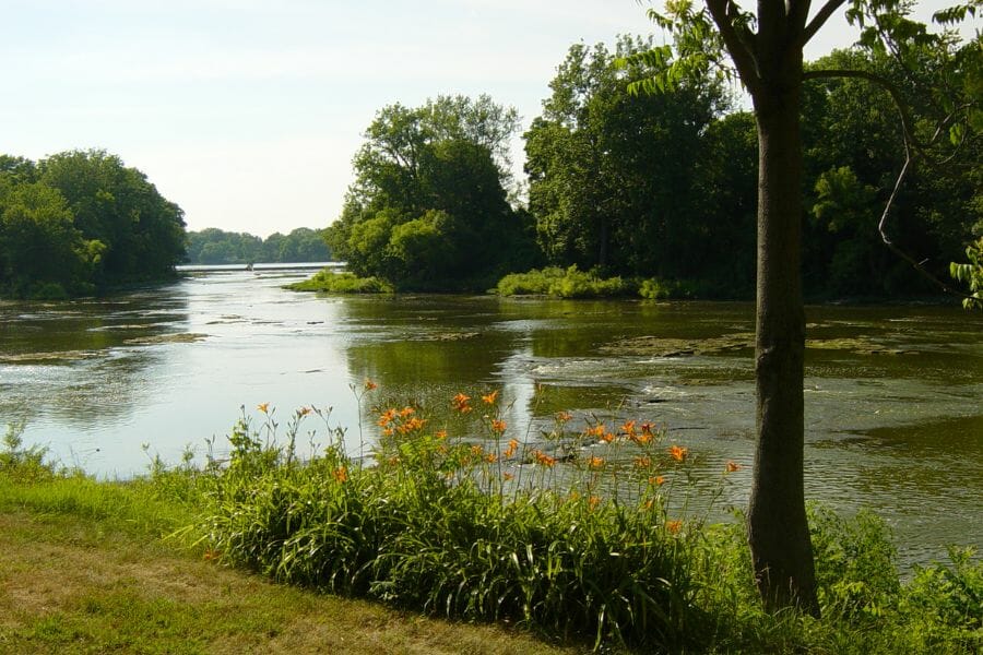 A scenic view of Maumee River surrounded by trees