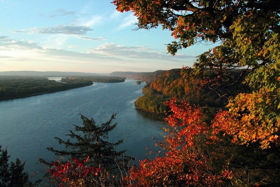 Breathtaking aerial view of the stretch of the Mississippi River foregrounded by the branches of a tree