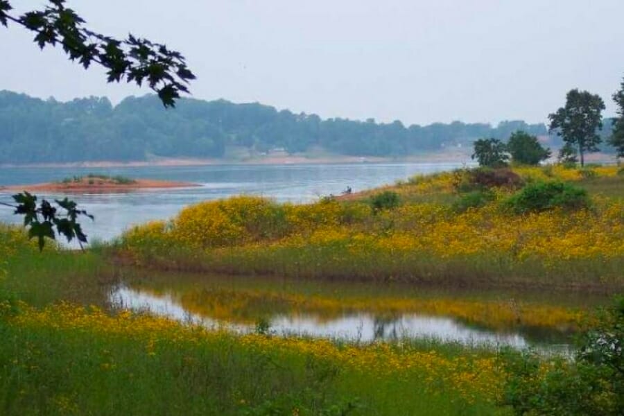 Stunning view of the Mossy Creek