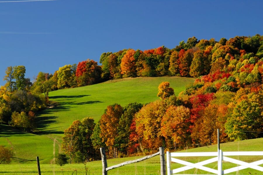 Rich spring field of Mount Pleasant