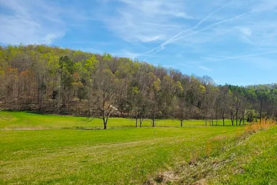 Wide, green area field at Mount Vernon