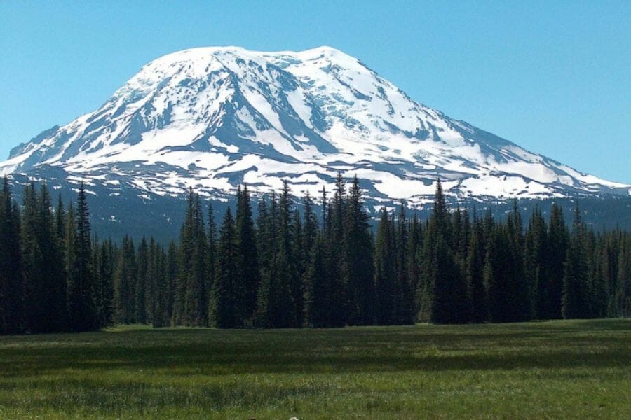 Mt. Adams covered with snow with pine trees and grasslands at its foot