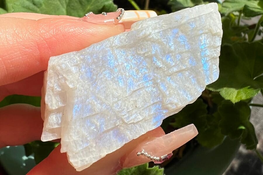 A stunning piece of Moonstone with blue glimmer held by two fingers