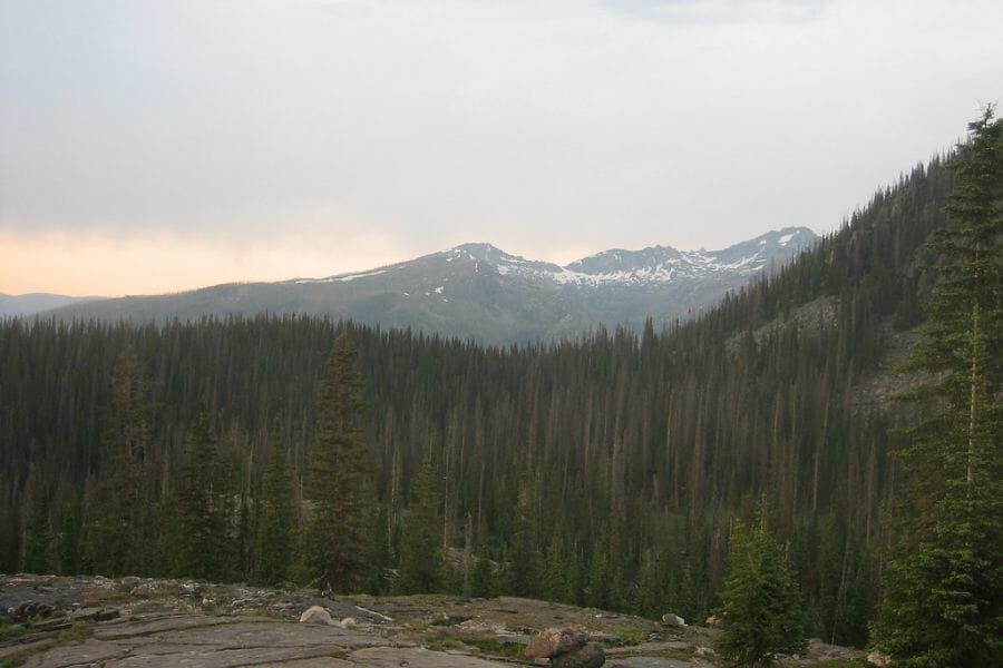 A scenic view of the Red Elephant Mountain surrounded by pine trees