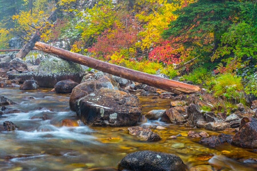 A stunning view of one of the streams in Abbeville County