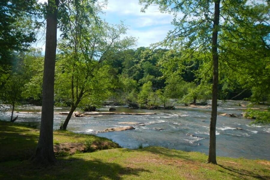 A look at a stunning stream and its surrounding landscapes at Anderson County