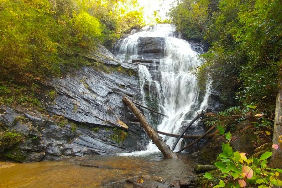 A look at the downstream of water at King's Creek