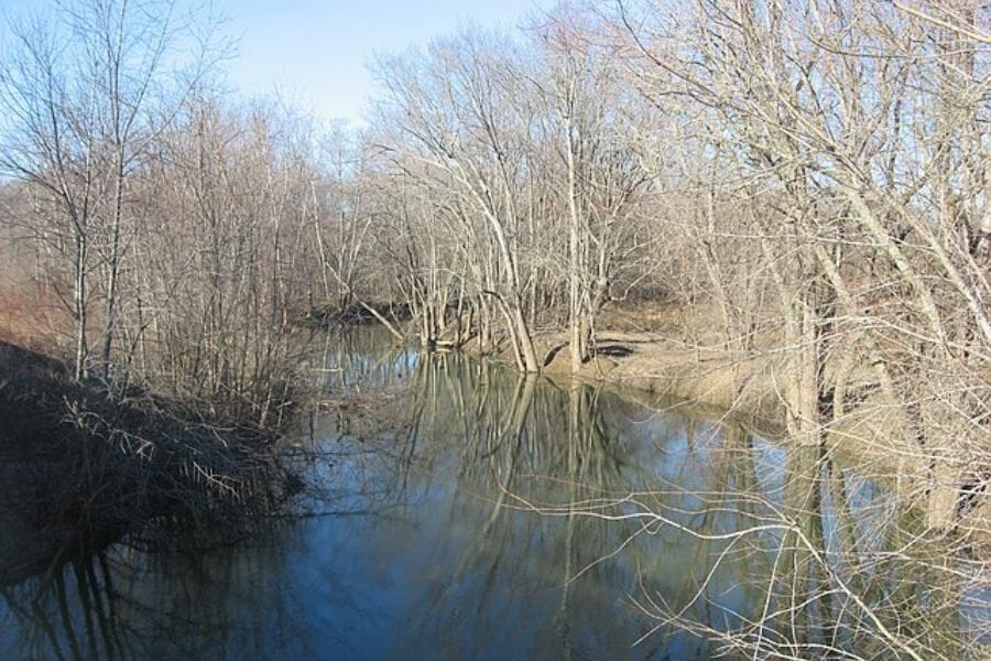 A quiet area at Salt creek filled with trees without leaves