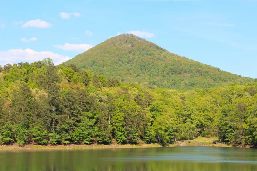 Green Sharp Top Mountain and its surrounding trees and waterways