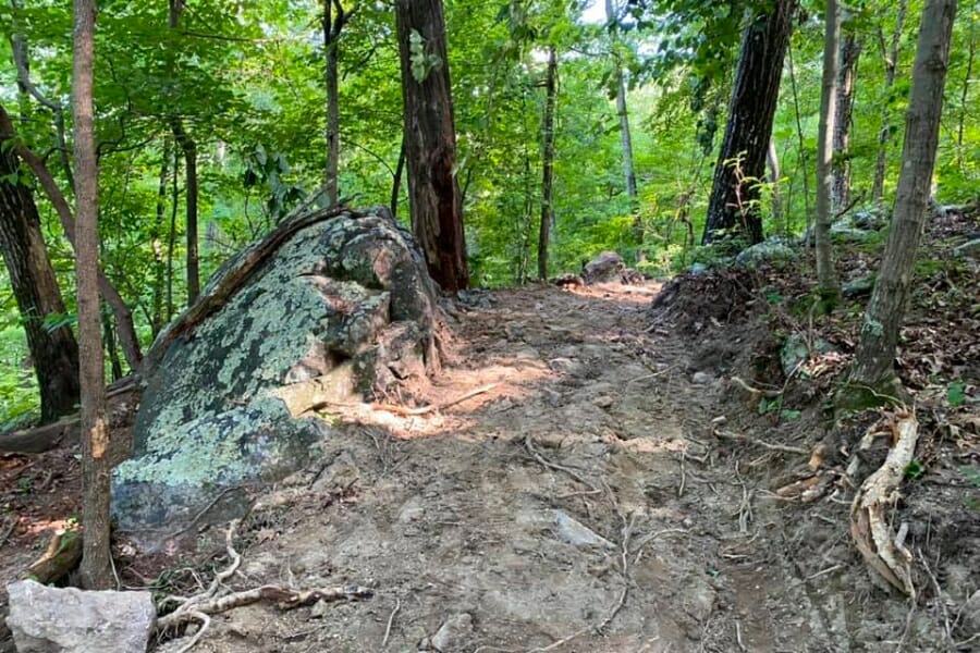 A close up look at the trails of Shepherd Mountain