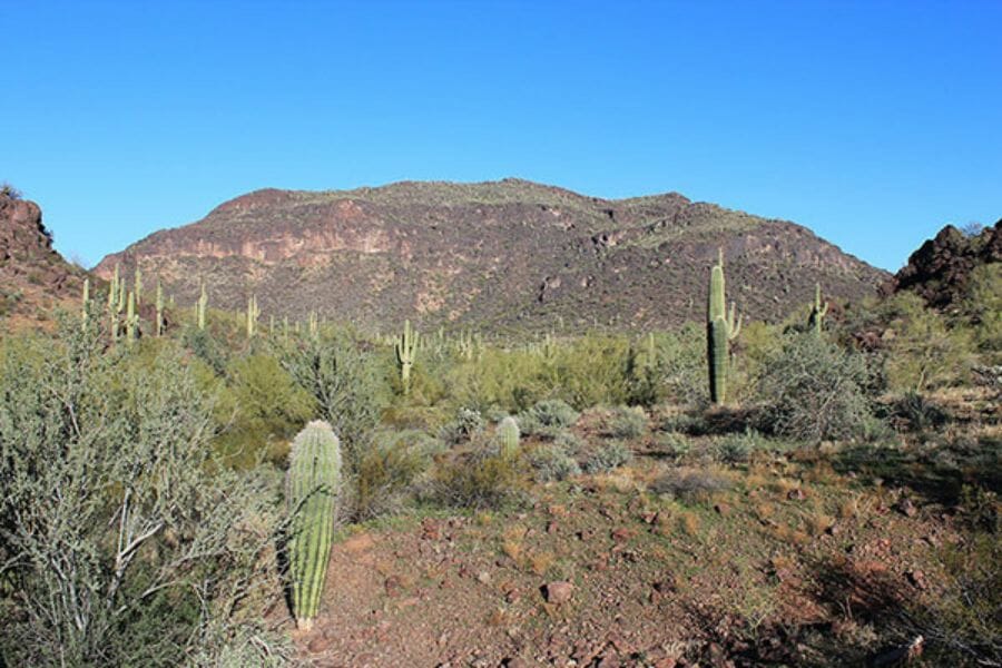 A nice photo of the Silver Reef Mountain where you can locate amethyst crystals