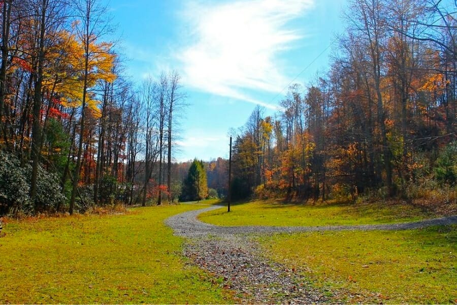 A stunning view of a field in Stuart during spring time