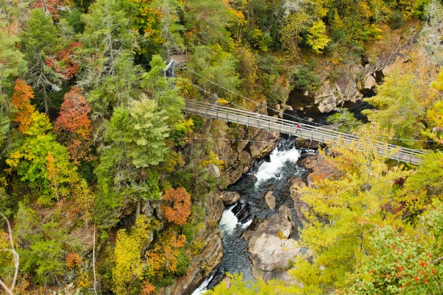 Aerial view of the area creek of Tallulah Falls including a hanging bridge over it and its surrounding rock formations and forest
