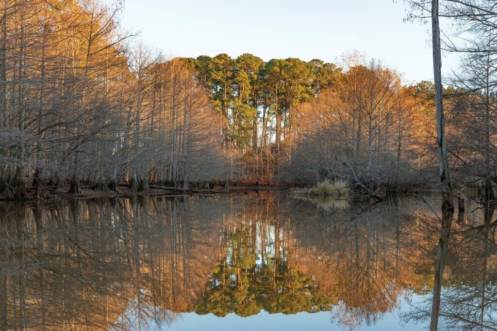 A picturesque photo of the Toledo Bend Reservoir with its reflection on the water.