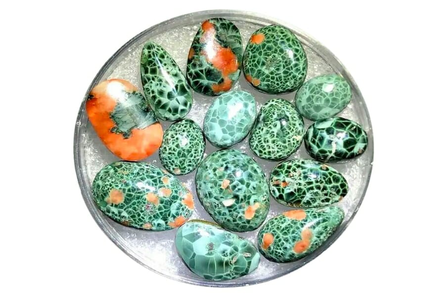 Beautiful specimens of green Chlorastrolite or Isle Royale Greenstone, Michigan's State Gemstone