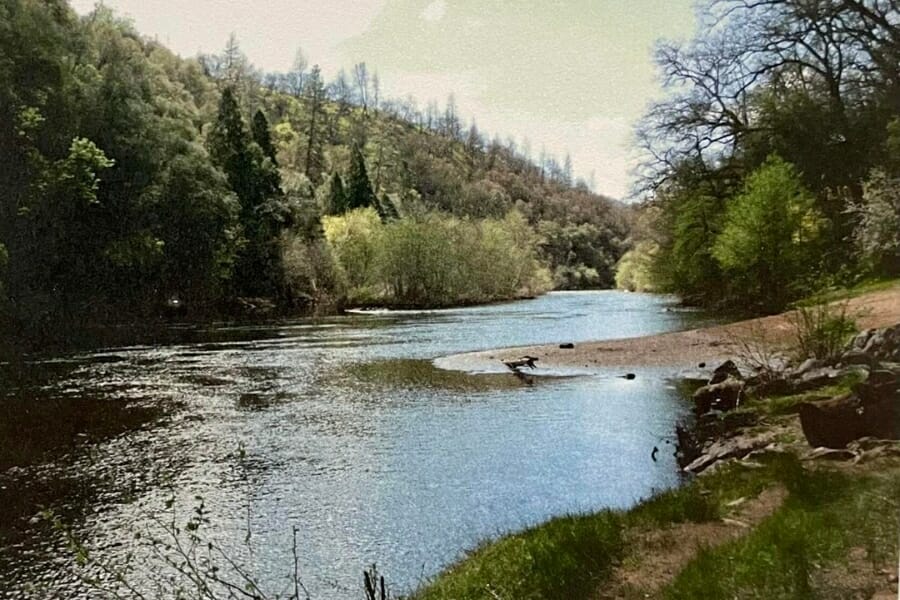 A look at the streams of Volcano Village in Amador County