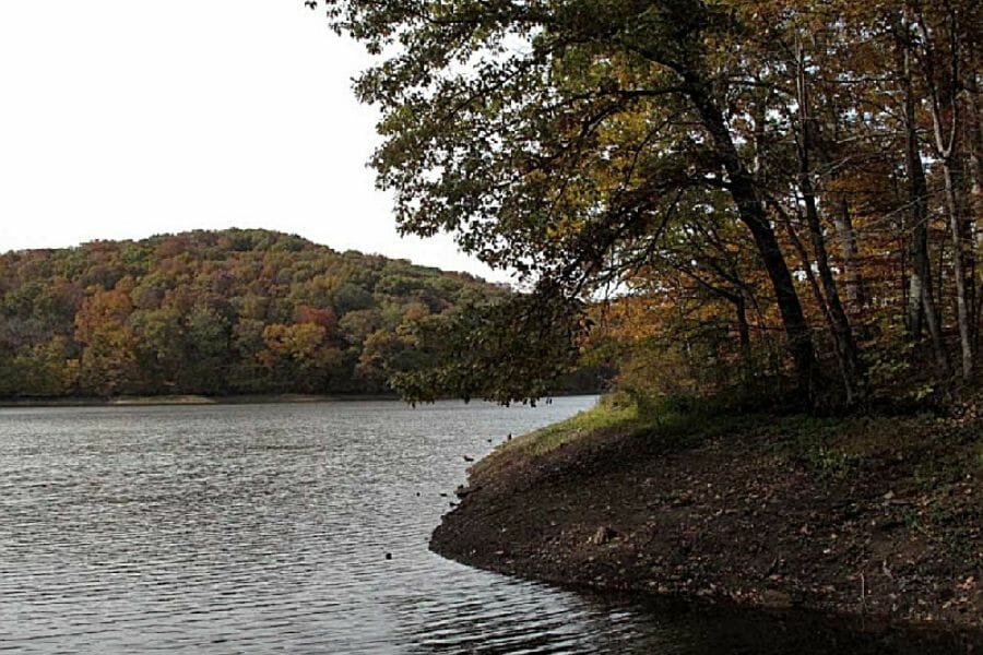 A picturesque view of the Yellowwood State Forest with a mountain of trees in the background