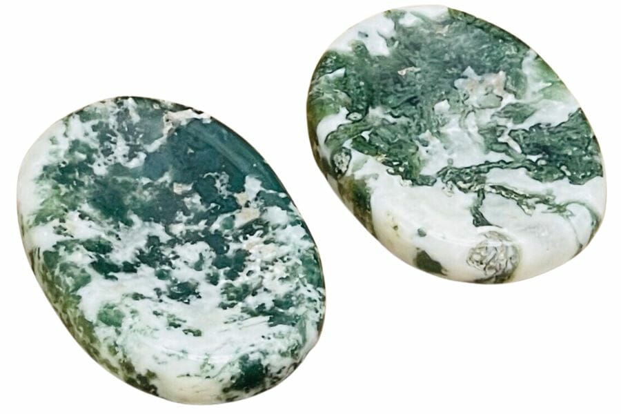 two circular moss agates