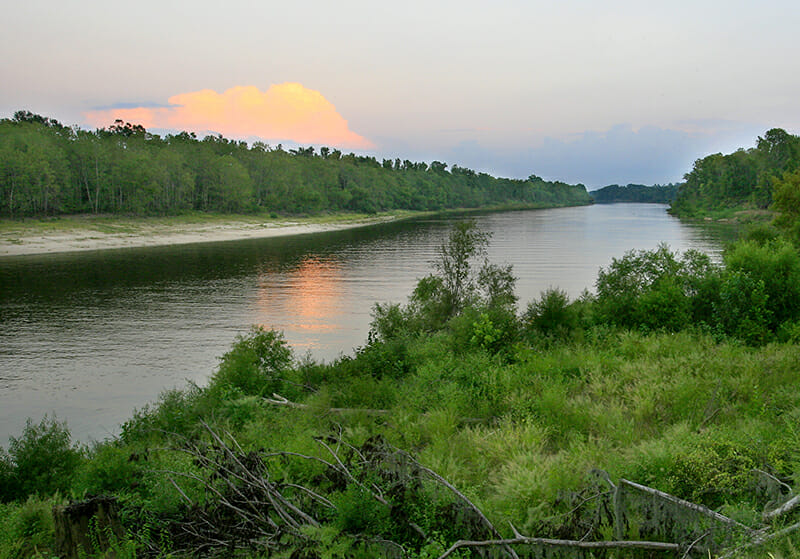 A calm flowing Tombigbee River with lush green trees around each side 