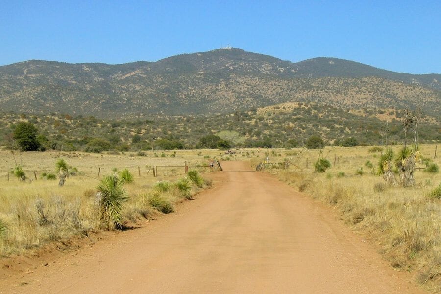 Burro Mountain surrounded by trees and grasslands