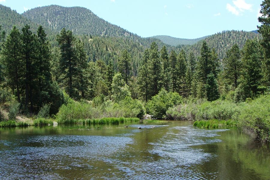 A picturesque area of the Cimmaron Canyon State Park with a lake and lots of trees