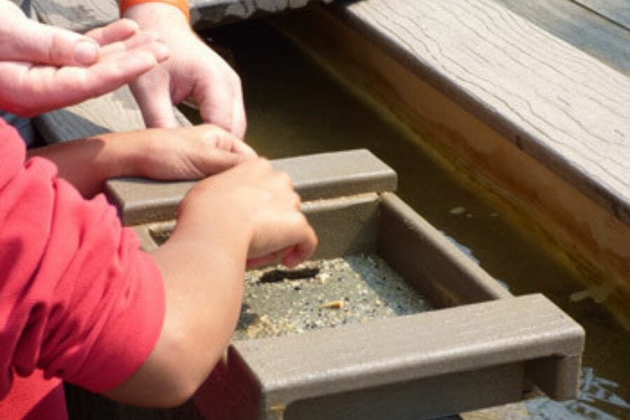 A kid looking for different rock and mineral specimens at the Crystal Cave Lake