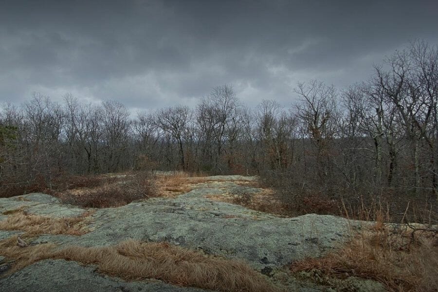 Cold and dried up trees at the Diamond Hill State Park where you can rockhound