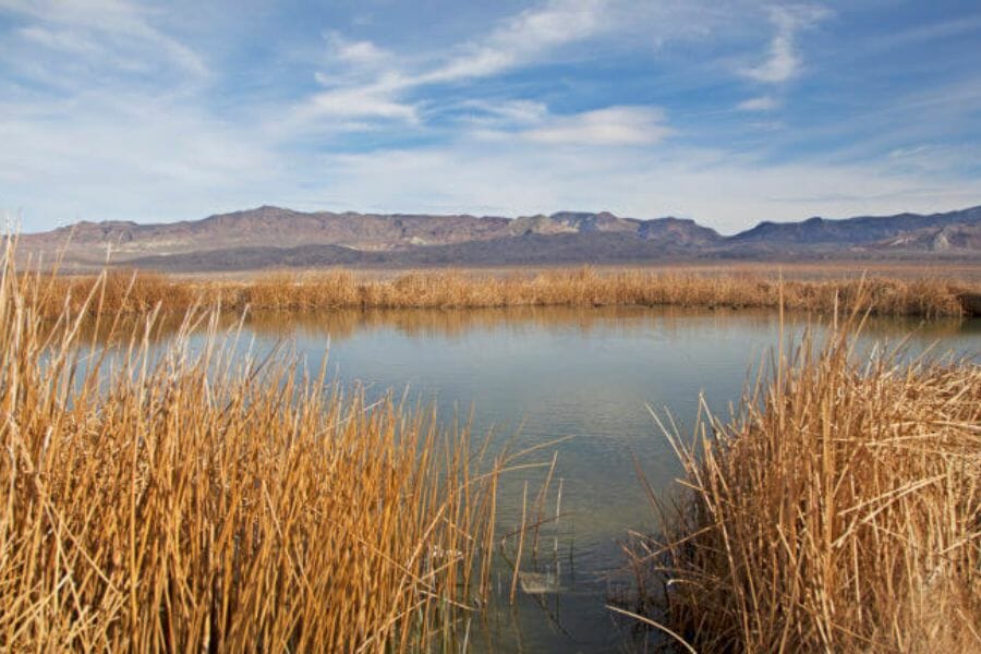 A gorgeous lake with mountains in the background