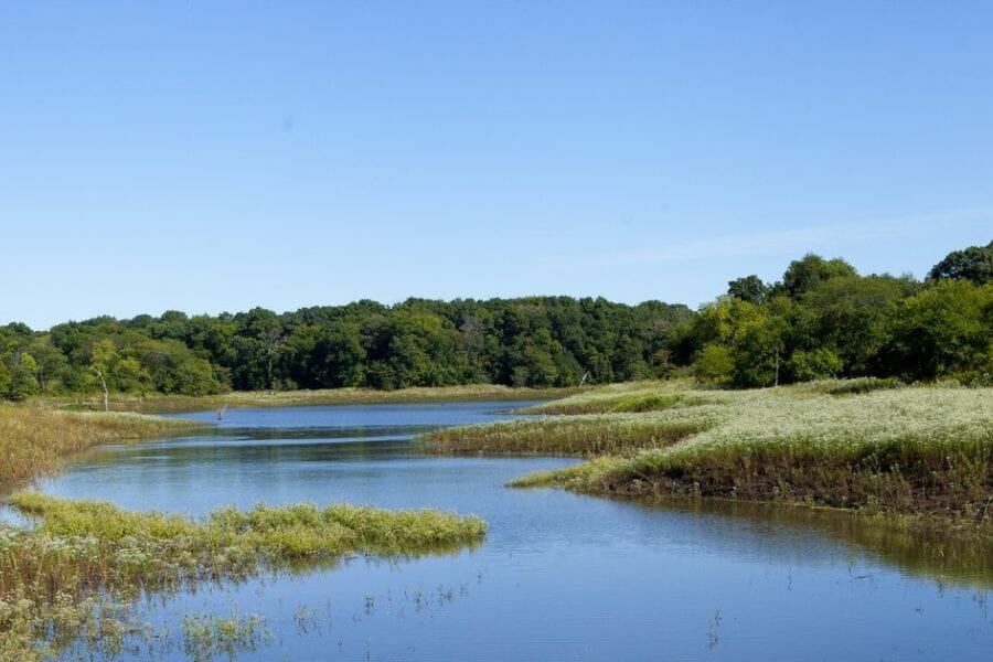 A tranquil river at the Honey Creek State Park where various mineral specimens can be found