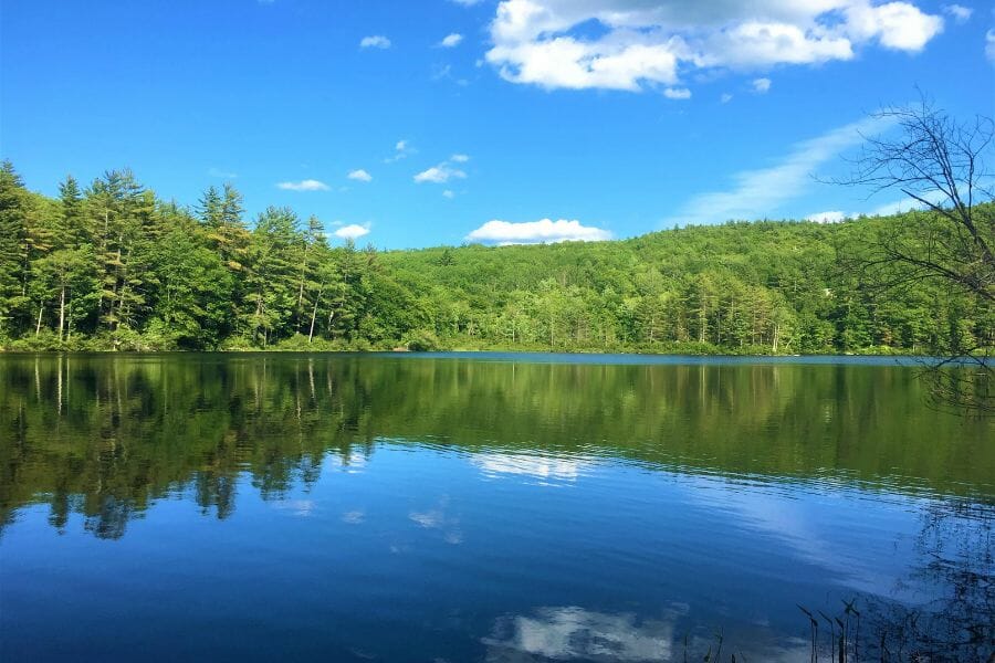 A calm and beautiful Kezar Lake surrounded by lush green trees