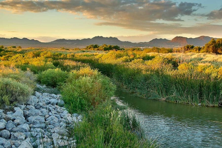 A picturesque view of Las Vegas Wash surrounded by tall grasslands and big rocks