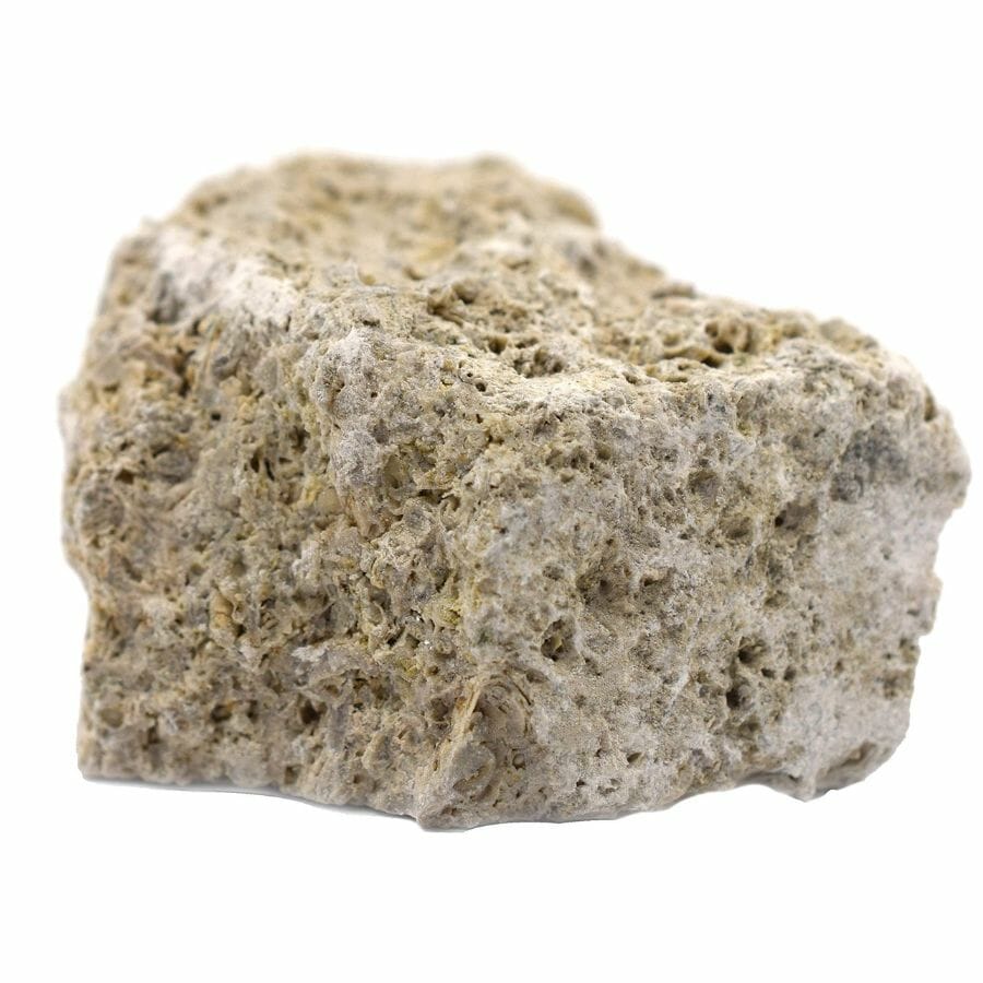 A white limestone rock with scattered small holes